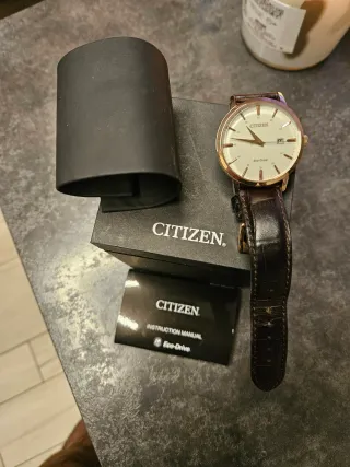 Orologio Citizen Eco-Drive Pelle Marrone