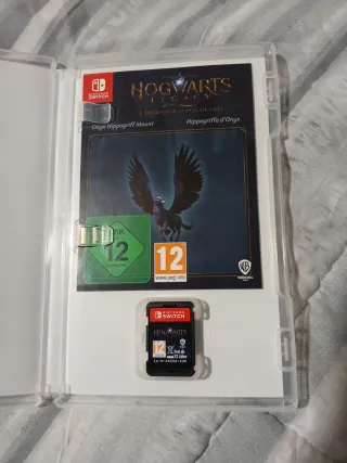Hogwarts Legacy Nintendo Switch