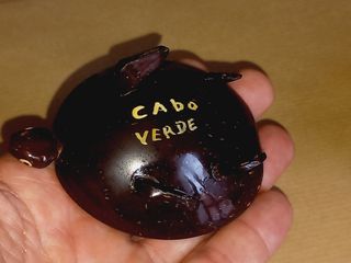 Artesanato Cabo Verde Tartarugas em Casca de Coco