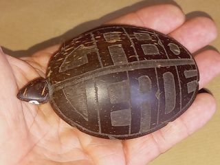 Artesanato Cabo Verde Tartarugas em Casca de Coco