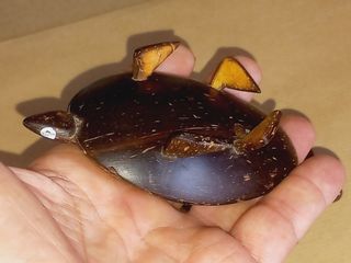 Artesanato Cabo Verde Tartarugas em Casca de Coco