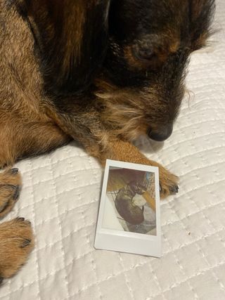 Fujifilm Instax Mini 8 Rosa