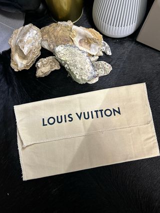 Busta Louis Vuitton Beige