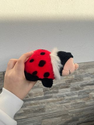 Peluche Coccinella Morbida