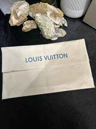 Busta Louis Vuitton Beige
