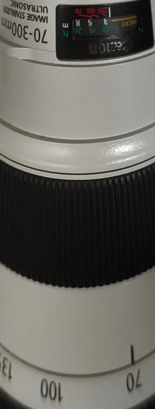 Canon EF 70-300mm f/4-5.6L IS USM