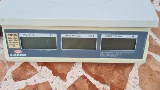 Báscula digital Lacor KSP-15