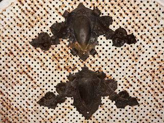 Antiche placche decorative in metallo