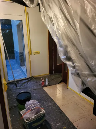 Pintor económic profesional paint