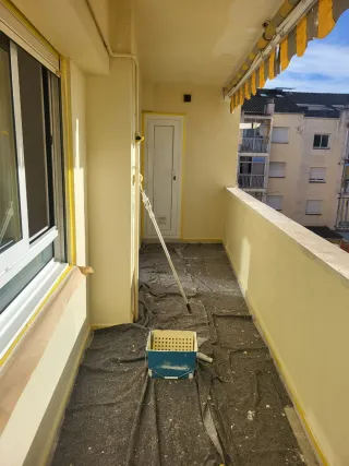 Pintor económic profesional paint