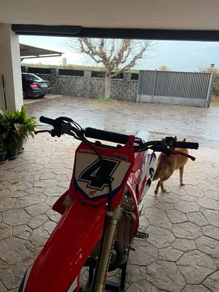 Honda CRF 450