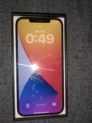 iPhone 12 Pro Max 256GB