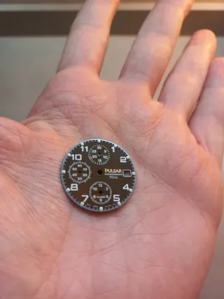 Correa de reloj Pulsar