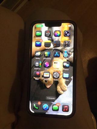 Funda iPhone 13 Leopardo Dorado