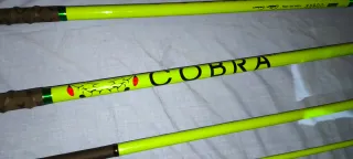 Cañas Surfcasting Tronixpro Cobra GT 4.20m