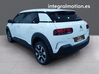 Citroën C4 Cactus BlueHDi 100 S&S Shine