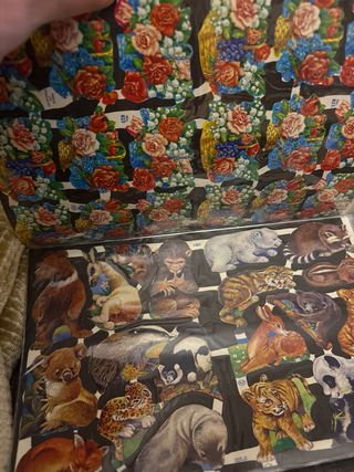 Cromos antiguos de Picar Editorial Roma 16 Modelos