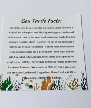 Pulsera Tortuga Marina Conservación