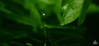 Samsung Galaxy S22 Ultra Enterprise Edition