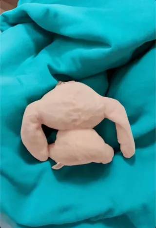 Peluche Stitch Novia Ángel, Disney. Nuevo.