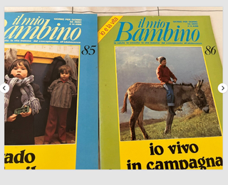 IL MIO BAMBINO 5 VOLUMI + 20 FASCICOLI