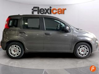 Fiat Panda Panda Hybrid 1.0 Gse 51kw (70CV)
