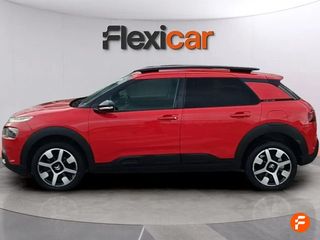 Citroën C4 Cactus PureTech 81KW (110CV) S&S Shine