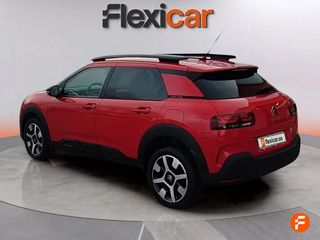 Citroën C4 Cactus PureTech 81KW (110CV) S&S Shine