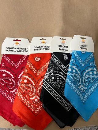 Pañuelos Vaqueros (4 uds)