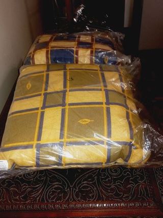 2 Almofadas Decorativas Quadradas