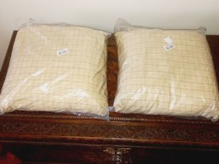 2 Almofadas Decorativas Quadradas