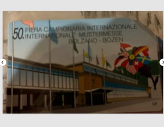 10 Schede Telefoniche Usate Telecom Italia