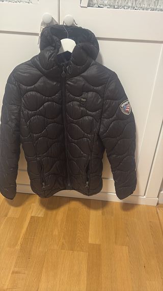 Cazadora acolchada imitación Blauer negra