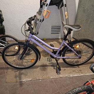 Bicicleta infantil morada