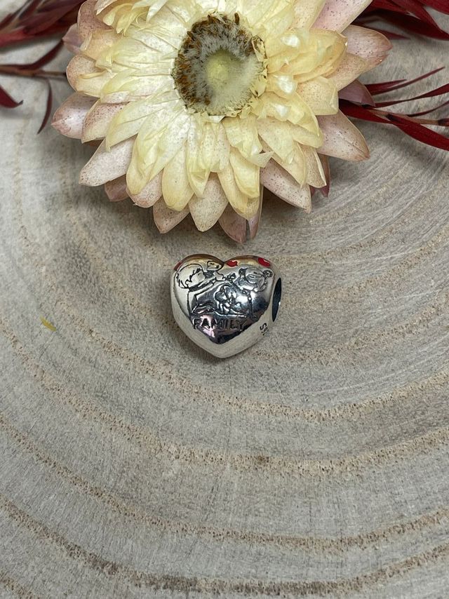 Charm Corazón Happy Family