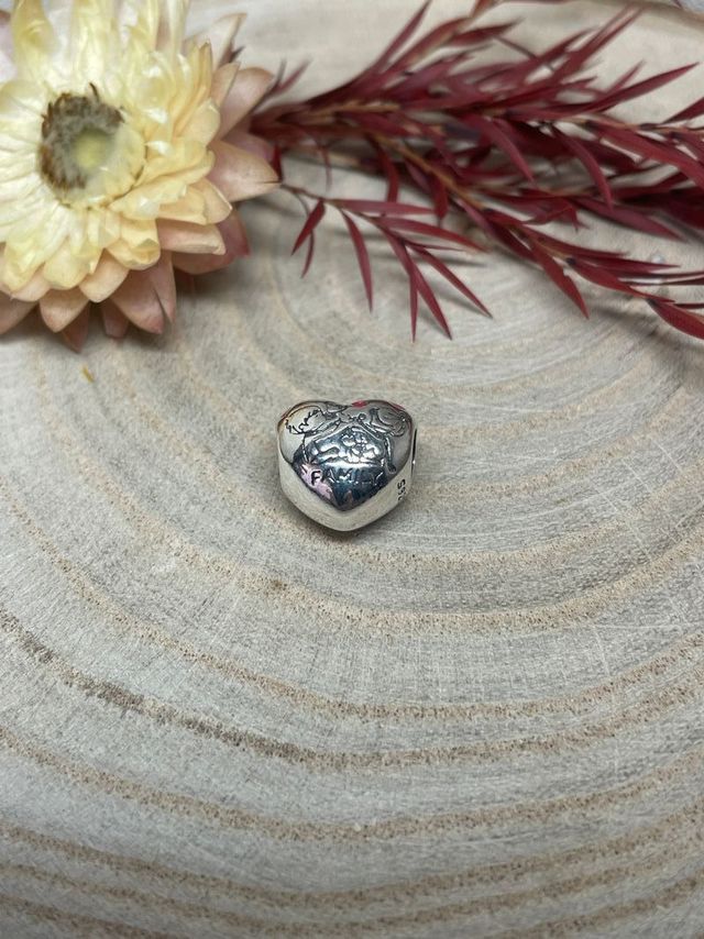 Charm Corazón Happy Family