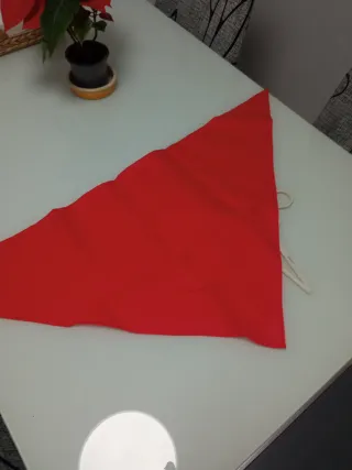 Disfraz Pastora Atosa 7-9 años