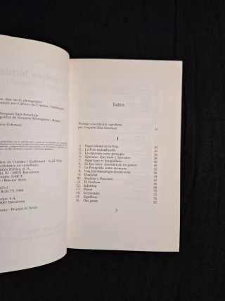 Roland Barthes. La cámara lúcida