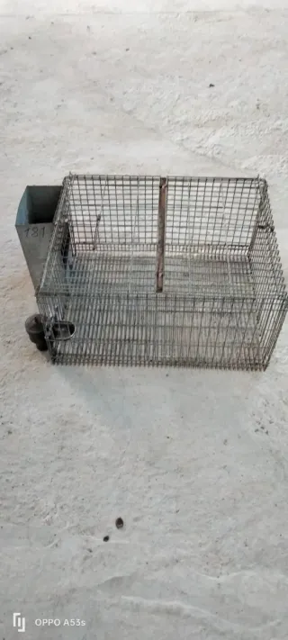 Jaula para conejos metálica