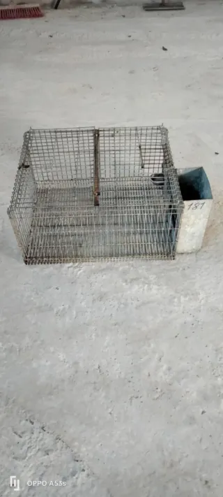 Jaula para conejos metálica