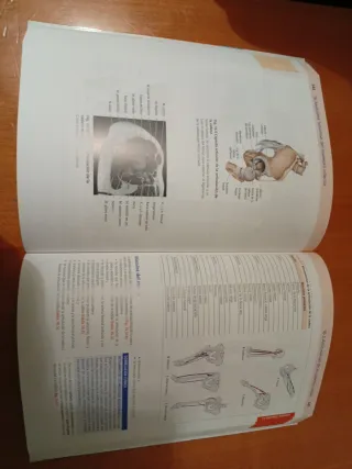 PROMETHEUS. Anatomía