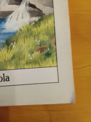 Scappa Bouc Scappa!, Sansoni Per La Scuola, 2001