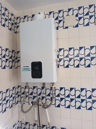 Calentador Gas Ariston Instantáneo Blanco