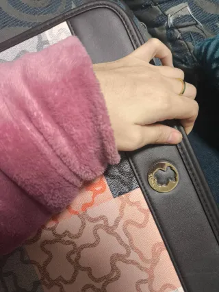 Portadocumentos Tous Multicolor Nuevo