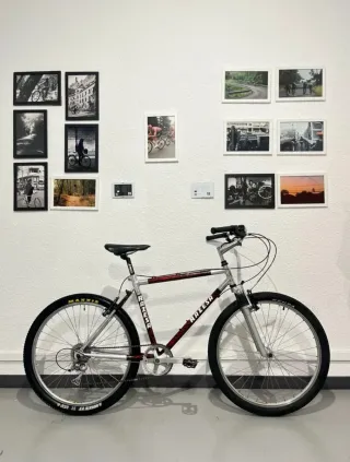 Bicicleta Raseza CONMUTER