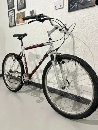 Bicicleta Raseza CONMUTER
