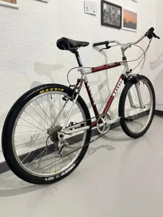 Bicicleta Raseza CONMUTER
