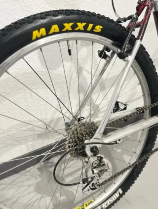 Bicicleta Raseza CONMUTER