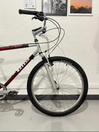 Bicicleta Raseza CONMUTER