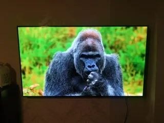 TV LG OLED 55 4K HDR Inteligencia Artificial